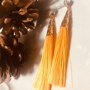 Beautiful Fashion Earrings fringe